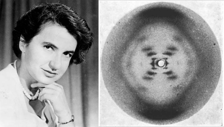 Watson and Crick: The Discovery of the DNA Structure – StMU Research ...