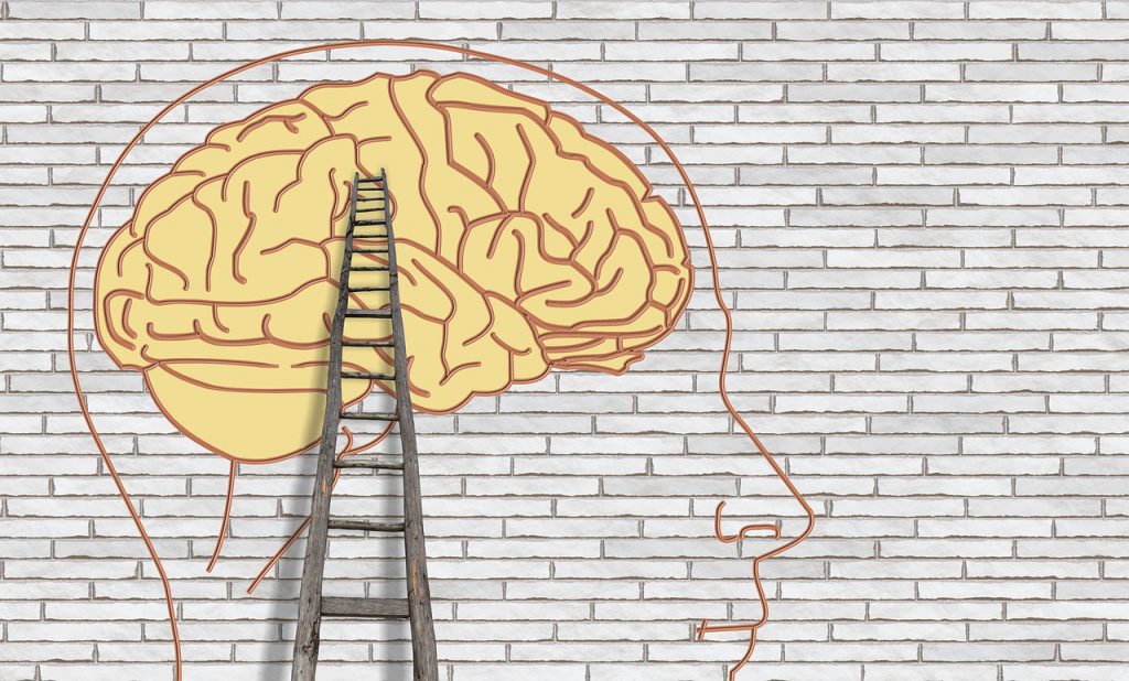 Savant Syndrome The Phenomenon of Natural and Acquired Genius StMU