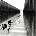 Breeding Business. “Breed-Specific Inherited Dog Diseases: Breeding To Improve!,” 2015. https://breedingbusiness.com/introduction-breed-specific-inherited-dog-diseases/.