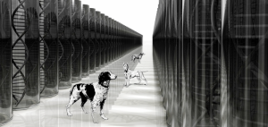 Breeding Business. “Breed-Specific Inherited Dog Diseases: Breeding To Improve!,” 2015. https://breedingbusiness.com/introduction-breed-specific-inherited-dog-diseases/.