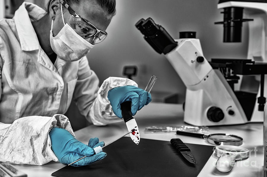 Image is in black and white, with the only color are the blue gloves worn by a woman in the image. Female Forensic Scientist in a laboratory station, standing next to a stereomicroscope. She is examining blood from a knife, using a cotton swab, while wearing gloves.