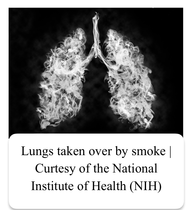 How does vaping affect your brain development? StMU Research Scholars
