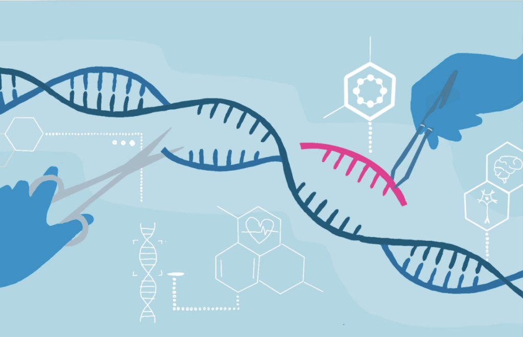 Ethical Considerations on Genome Editing: CRISPR-Cas9 – StMU Research ...