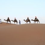 Desert, Nature, Sahara