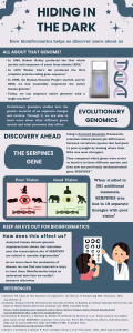 Bioinformatics Infographic (1)