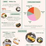 Infographic draft 2 (1)