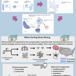 Molecular Zip Codes The Science of Cellular Protein Targeting (18 x 30 in) (18 x 32 in)