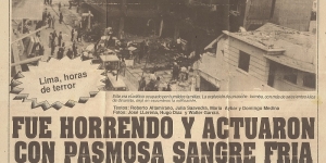 “It was horrendous and they acted amazingly cold-blooded” report of El Nacional diary the day after the attack